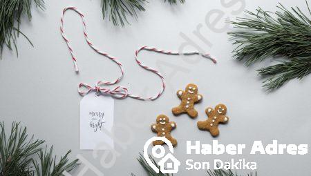 Merry Christmas SVG: Şık ve Trendi Merry Christmas SVG Tasarımlarıyla Sevdiklerinizi Mutlu Edin